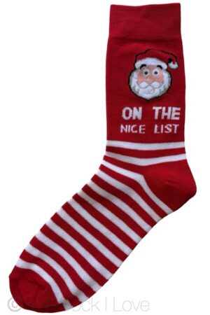 Santa On The Nice List socks