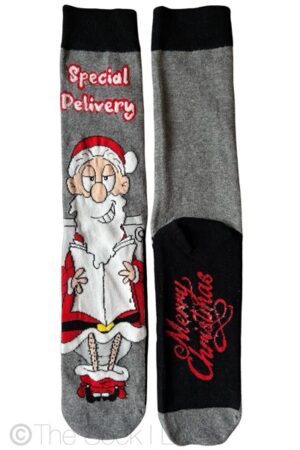 Santa Special Delivery socks