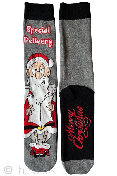 Santa Special Delivery socks